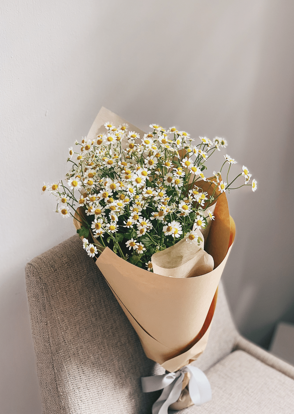 a posy of daisies.png